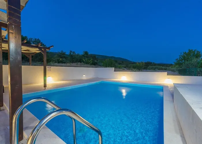 With Swimming Pool Camellia *